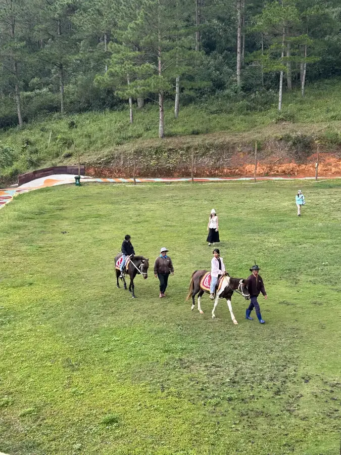The meadow with horses by the Balava chocolate house, Da Lat