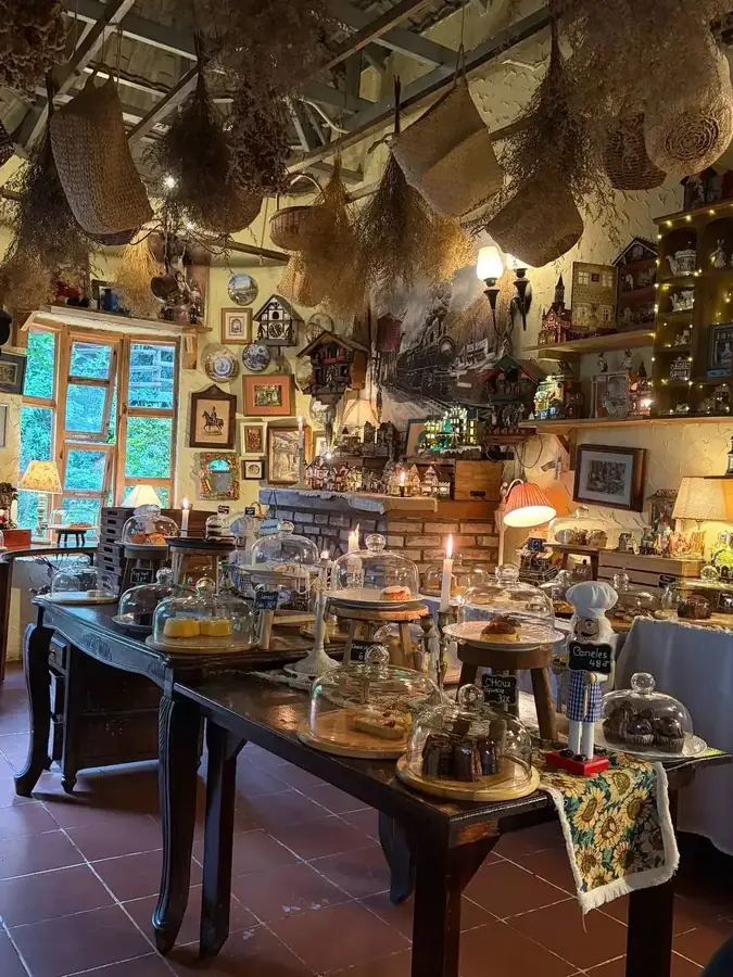 The Blue Dream Bread room: pastry under glass cloches, dried herbs in baskets hanging from the ceiling — Blue Dream Bread — a garden bakery with cocoa, Da Lat