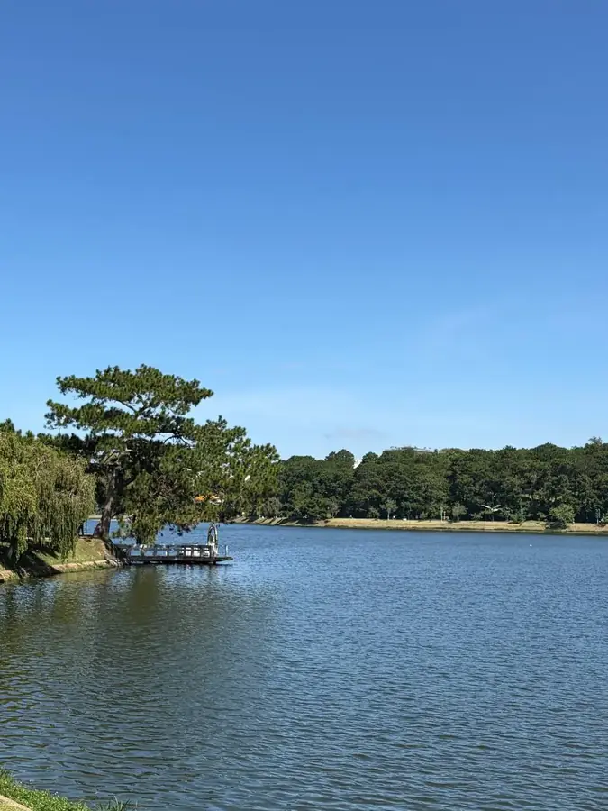 The boat jetty under the pines, Xuan Huong lake — Xuan Huong Lake, Da Lat
