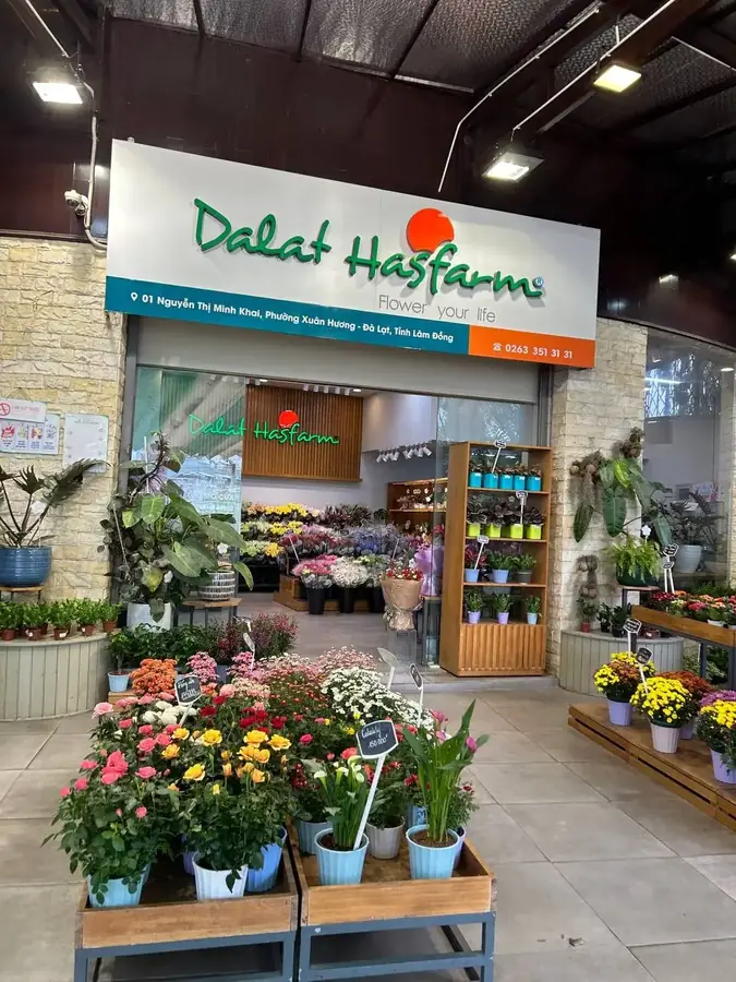 Витрина Dalat Hasfarm: розы и хризантемы вёдрами, цены на табличках — Цветочный магазин Dalat Hasfarm, Далат