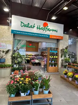 Dalat Hasfarm, Далат