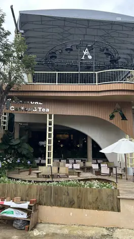 D'Art Signature coffee shop on Yersin — a gravel yard and a plant-filled room, Da Lat