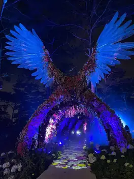 Delight Park — вечернее шоу света в сосновом лесу, Далат