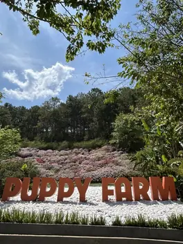 Puppy Farm (ферма с собаками), Далат