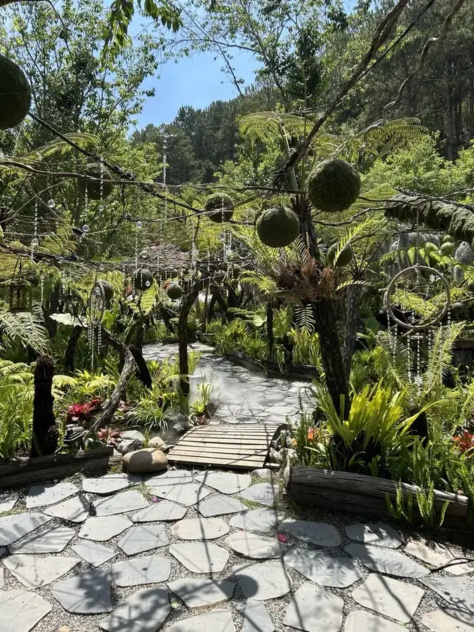 The garden path with hanging moss balls, Puppy Farm — Puppy Farm, Da Lat