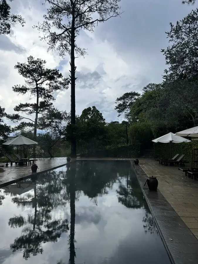 The heated pool under the pines, with loungers and umbrellas — Ana Mandara Villas Dalat — French villas, a pool and a spa, Da Lat