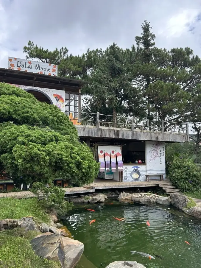 Беседка Dalat Maple над прудом с карпами, Lá Phong Kalat — Lá Phong Kalat — японский сад с карпами и кимоно, Далат