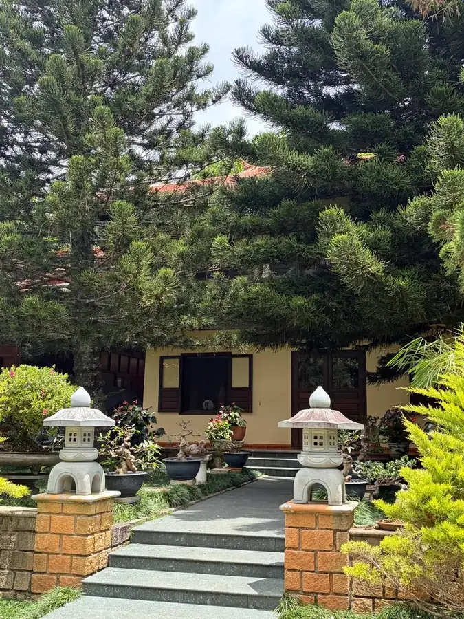 The path with stone lanterns among the pines, Truc Lam — Truc Lam Monastery + cable car, Da Lat