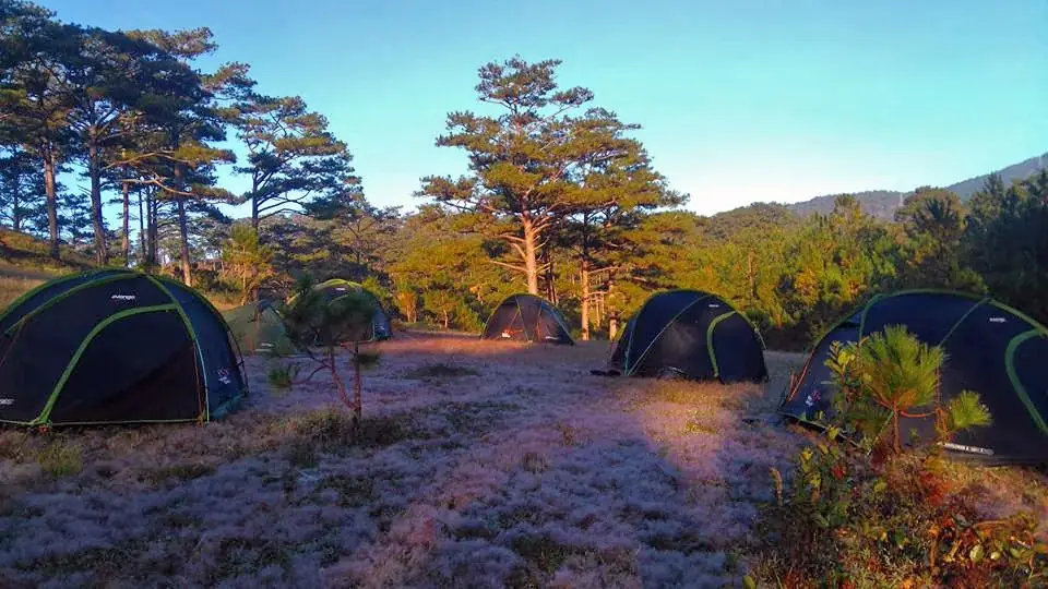 Phat Tire Ventures — canyoning, biking and trekking, Da Lat
