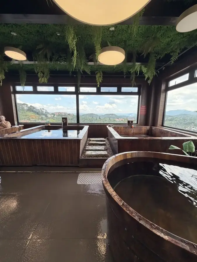 The room with wooden baths and ferns hanging from the ceiling — Suoi May Onsen & Spa — Japanese baths looking into the pines, Da Lat