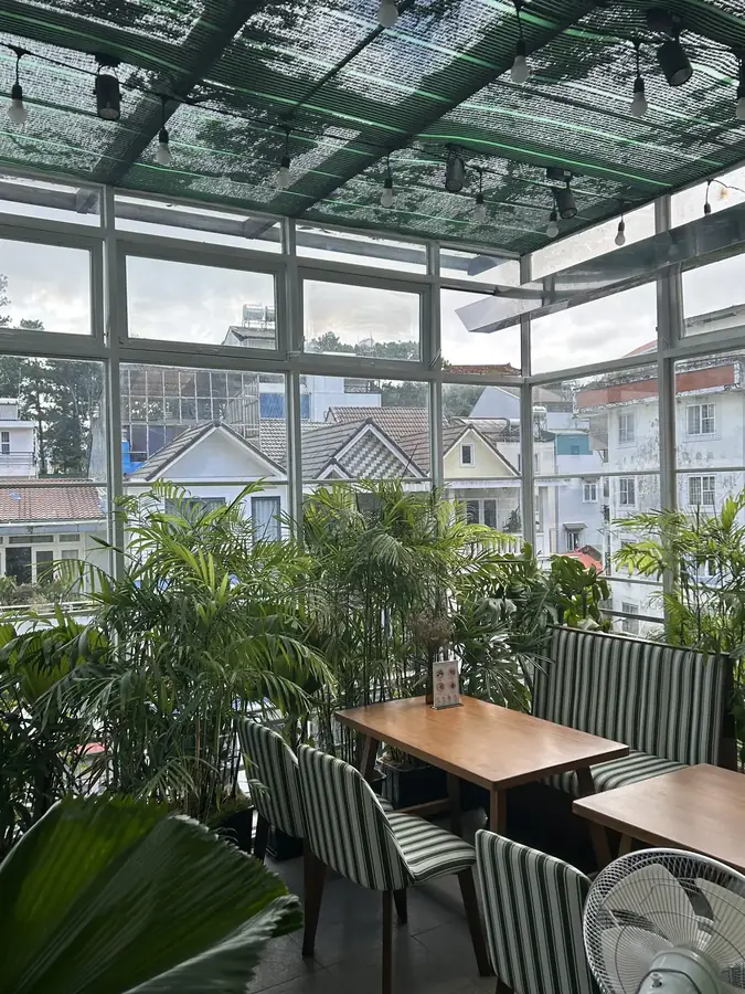 Застеклённая веранда с пальмами и видом на крыши — The Oliver Cafe — завтраки и бранчи по-европейски, кухня до трёх, Далат